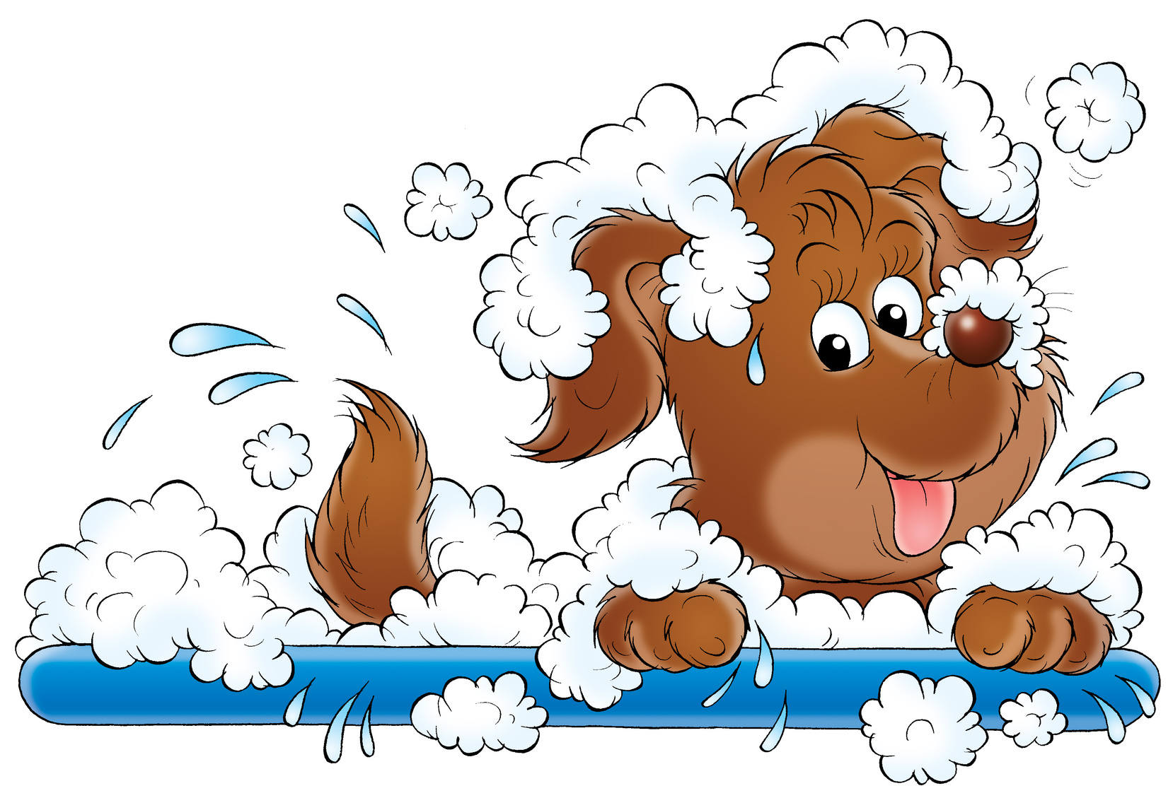 free clipart of dog grooming - photo #34